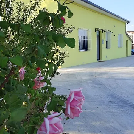 La Casa Di Paolo 3*