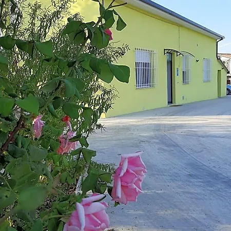 La Casa Di Paolo 3*